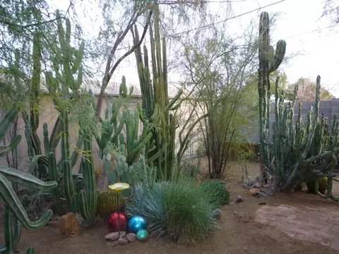 1007 E Mariposa St, Phoenix, AZ 85014 photo 12