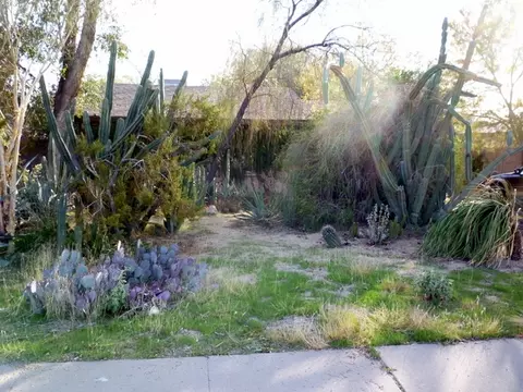 1007 E Mariposa St, Phoenix, AZ 85014 photo 1