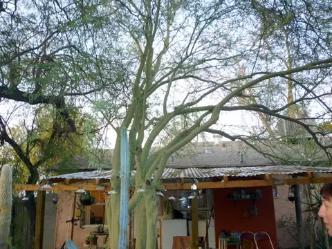 1007 E Mariposa St, Phoenix, AZ 85014 photo 16