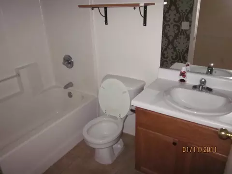 1007 E Santa Cruz Ln, Apache Junction, AZ 85119 photo 9