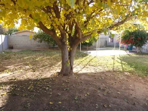 1940 E Indianola Ave, Phoenix, AZ 85016 photo 13