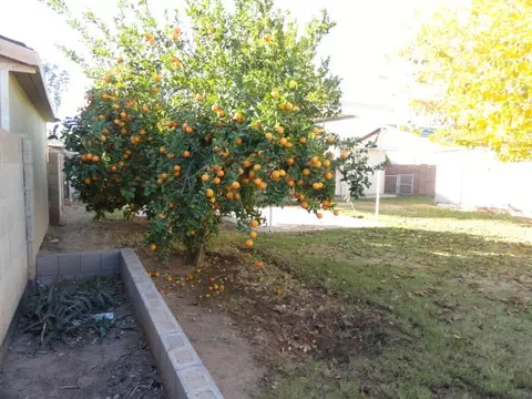1940 E Indianola Ave, Phoenix, AZ 85016 photo 24