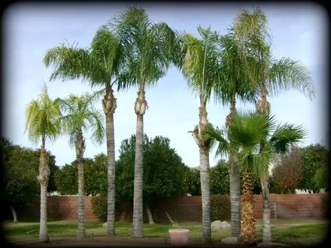 3952 E Kael Cir, Mesa, AZ 85215 photo 48