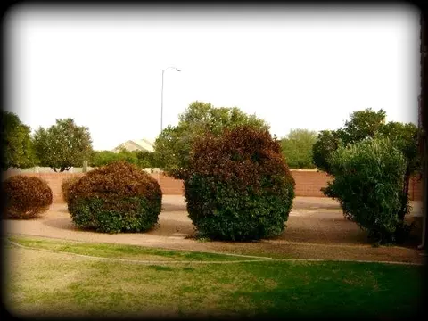 3952 E Kael Cir, Mesa, AZ 85215 photo 55