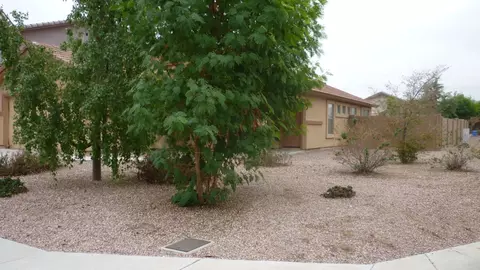 1505 E Chambers St, Phoenix, AZ 85040 photo 3