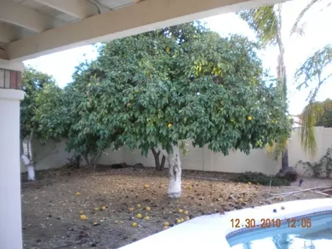 3429 E Fairfield St, Mesa, AZ 85213 photo 24