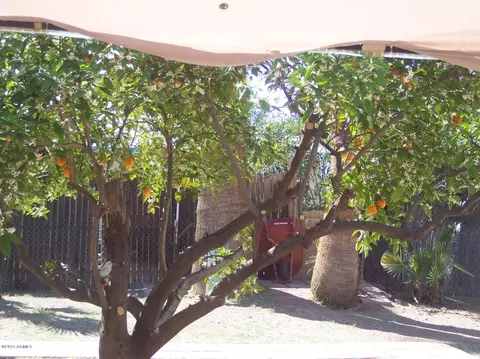 2122 E Harvard St, Phoenix, AZ 85006 photo 13
