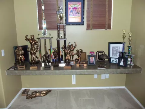 993 S Colonial Ct, Gilbert, AZ 85296 photo 17