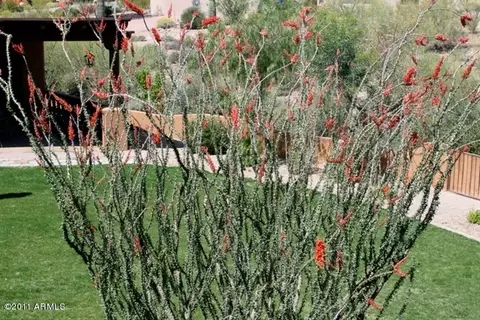 5082 E Jacob Waltz St, Apache Junction, AZ 85119 photo 60
