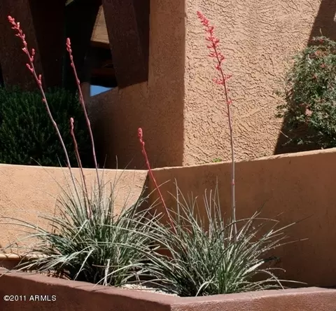 5082 E Jacob Waltz St, Apache Junction, AZ 85119 photo 63