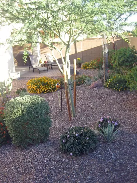 3247 E Tyson St, Gilbert, AZ 85295 photo 32