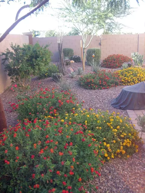 3247 E Tyson St, Gilbert, AZ 85295 photo 34