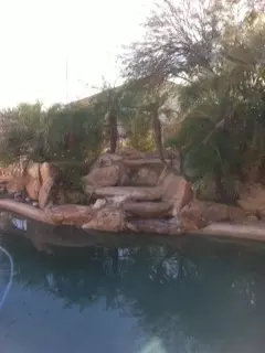 1133 E Monona Dr, Phoenix, AZ 85024 photo 7