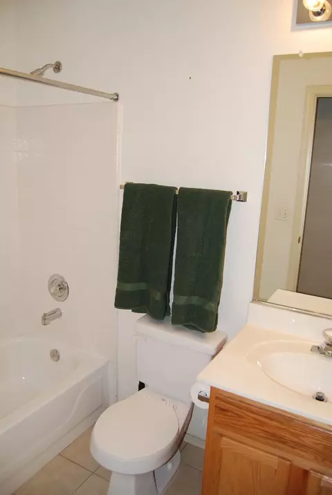 1436 W 13th Ave, Apache Junction, AZ 85120 photo 8