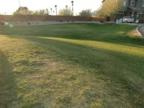 315 S Travis --, Mesa, AZ 85208 photo 34