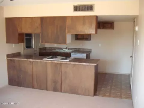 1525 E Diamond Ave, Mesa, AZ 85204 photo 9