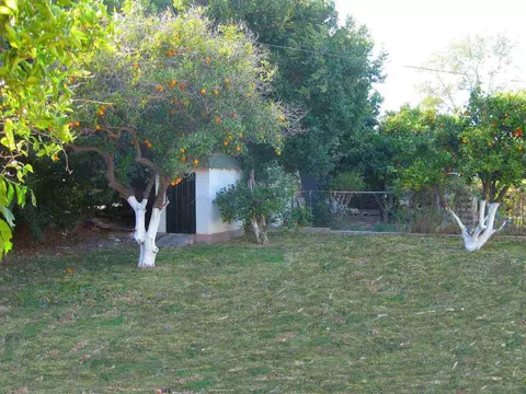 545 W Pepper Pl, Mesa, AZ 85201 photo 6