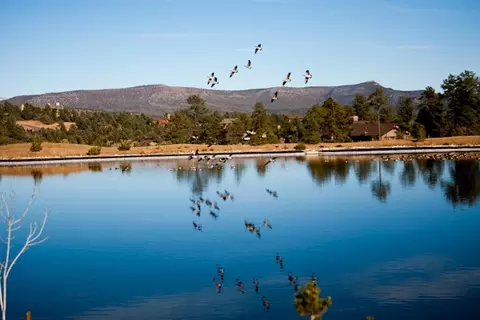 1712 E Snap Dragon Ct, Payson, AZ 85541 photo 2