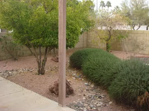 1232 E Redfield Rd, Phoenix, AZ 85022 photo 16