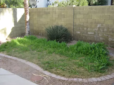 1153 W Edgewater Dr, Gilbert, AZ 85233 photo 22