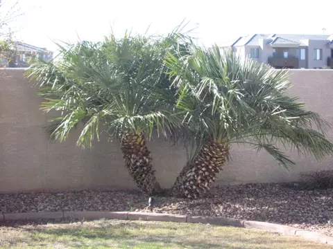 753 E Irma Ln, Phoenix, AZ 85024 photo 13