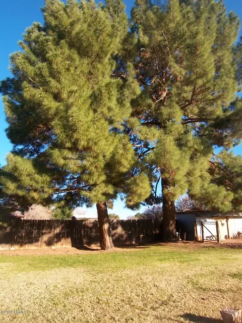 201 E Ivanhoe St, Gilbert, AZ 85295 photo 11