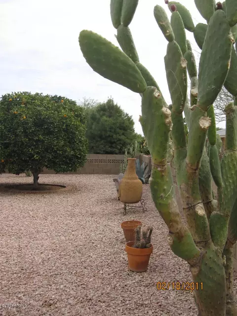8319 E Meseto Ave, Mesa, AZ 85209 photo 19