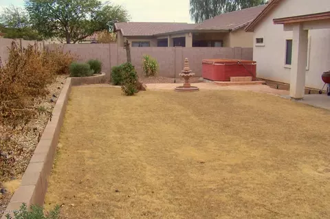 4560 E Olney Ave, Gilbert, AZ 85234 photo 13