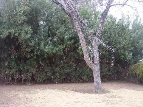 3025 E Yale St, Phoenix, AZ 85008 photo 17