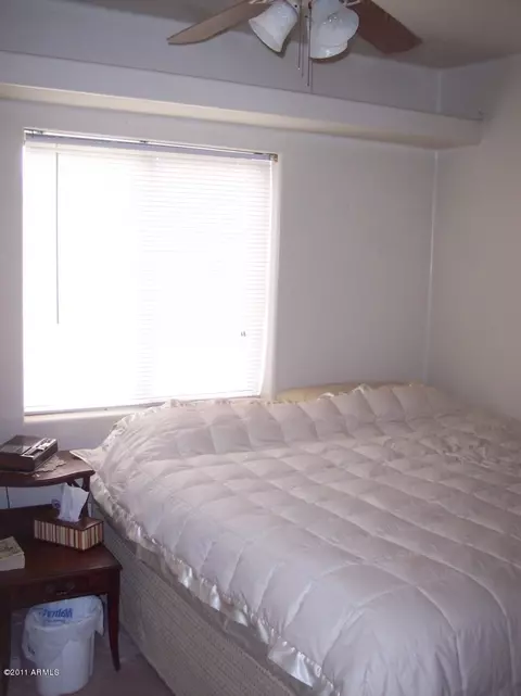 3025 E Yale St, Phoenix, AZ 85008 photo 5