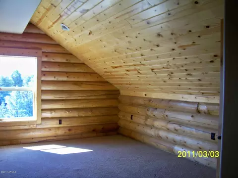 2878 Cedar Rdg, Overgaard, AZ 85933 photo 16