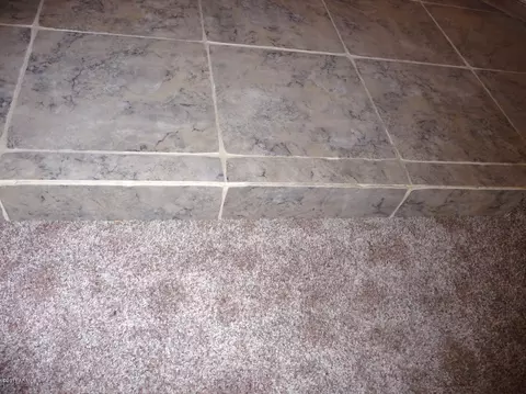 1360 E Brown Rd #30, Mesa, AZ 85203 photo 41