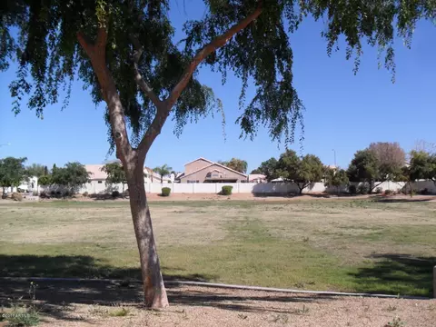 5041 E Diamond Ave, Mesa, AZ 85206 photo 8