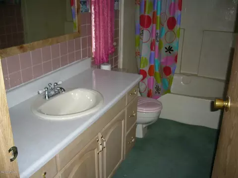 2918 E Tonto Ln, Phoenix, AZ 85050 photo 13