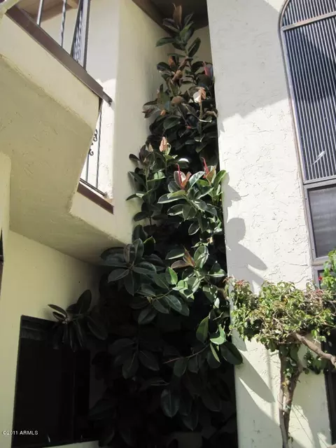 77 E Missouri Ave #69, Phoenix, AZ 85012 photo 7