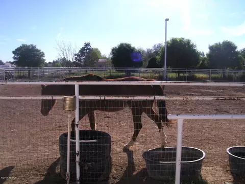 15330 E Via Del Rancho Dr, Gilbert, AZ 85298 photo 24
