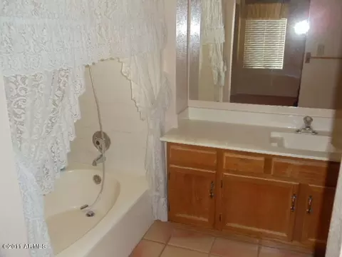 3137 E Taro Ln, Phoenix, AZ 85050 photo 6