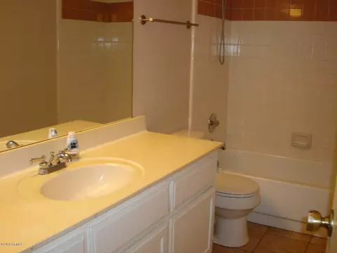 4166 E Dover St, Mesa, AZ 85205 photo 13