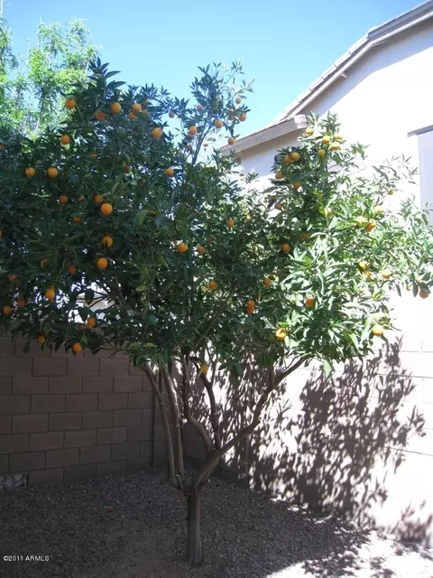 4095 E Shannon St, Gilbert, AZ 85295 photo 26