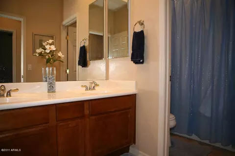 3975 E Crest Ln, Phoenix, AZ 85050 photo 13