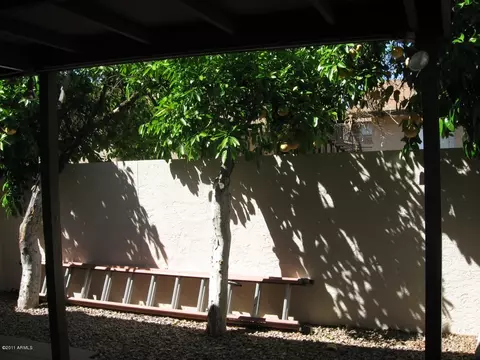 1176 E Belmont Ave, Phoenix, AZ 85020 photo 12