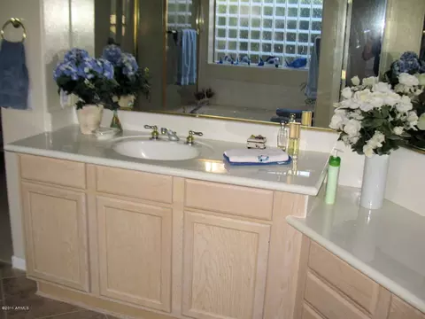 4553 E Lariat Ln, Phoenix, AZ 85050 photo 10