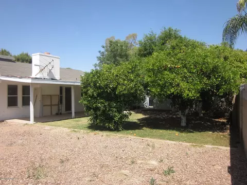 1707 E Hale St, Mesa, AZ 85203 photo 11