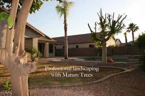 998 E Betsy Ln, Gilbert, AZ 85296 photo 31