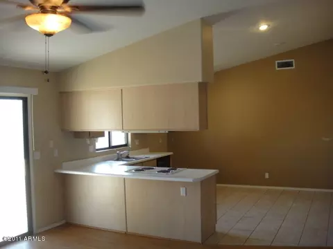 11039 E Vine Ave, Mesa, AZ 85208 photo 3
