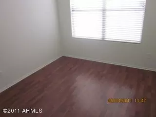 902 E Pedro Rd, Phoenix, AZ 85042 photo 18
