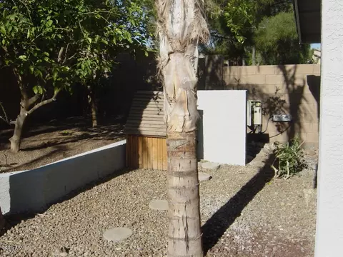 11528 E Dover St, Mesa, AZ 85207 photo 59