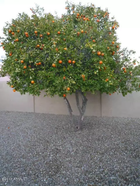 3515 E Hearn Rd, Phoenix, AZ 85032 photo 27