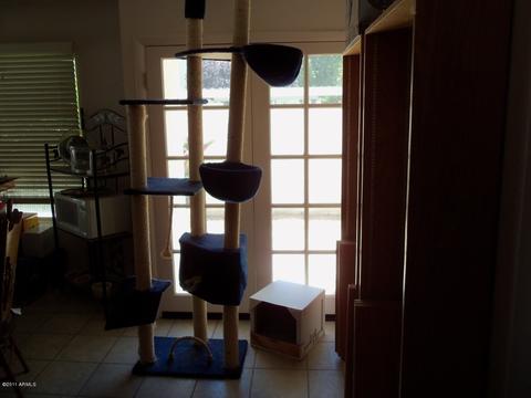 835 E Michelle Dr, Phoenix, AZ 85022 photo 9