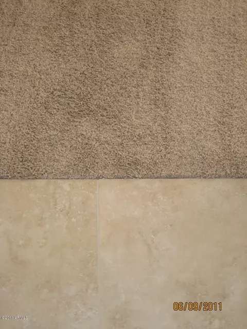 3903 E Douglas Loop, Gilbert, AZ 85234 photo 39